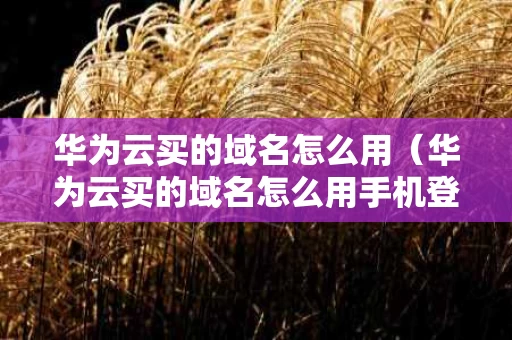 华为云买的域名怎么用（华为云买的域名怎么用手机登录）
