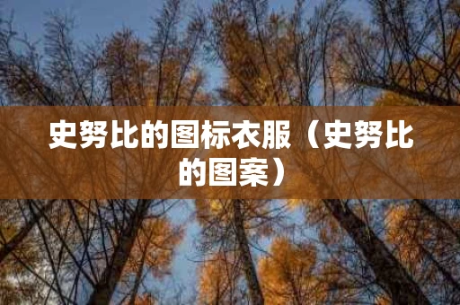 史努比的图标衣服（史努比的图案）
