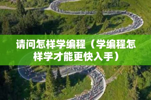 请问怎样学编程（学编程怎样学才能更快入手）