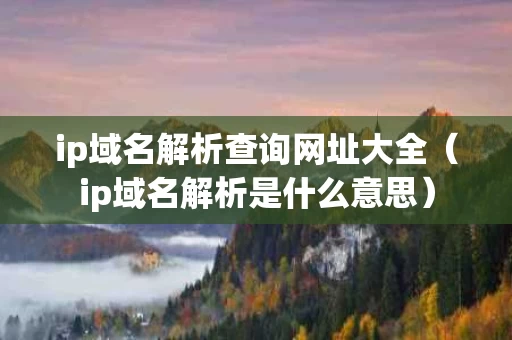 ip域名解析查询网址大全（ip域名解析是什么意思）