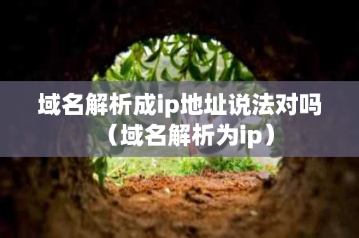 域名解析成ip地址说法对吗（域名解析为ip）