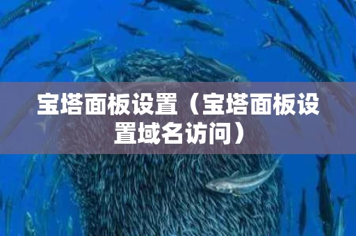 宝塔面板设置（宝塔面板设置域名访问）