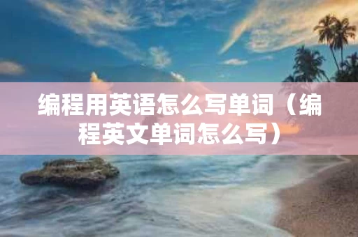编程用英语怎么写单词（编程英文单词怎么写）