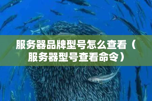 服务器品牌型号怎么查看（服务器型号查看命令）