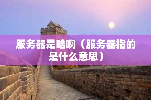 服务器是啥啊（服务器指的是什么意思）