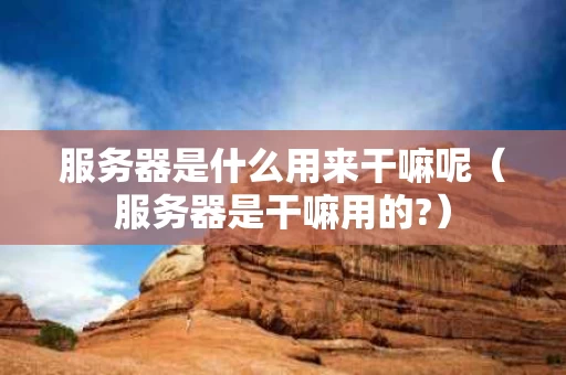 服务器是什么用来干嘛呢（服务器是干嘛用的?）