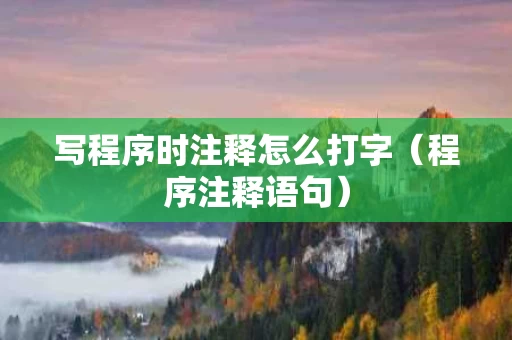写程序时注释怎么打字（程序注释语句）