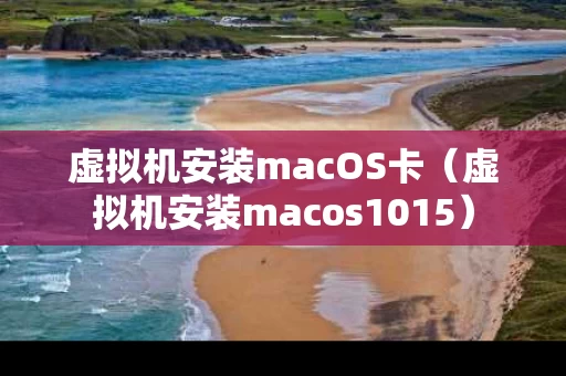 虚拟机安装macOS卡（虚拟机安装macos1015）