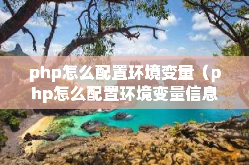 php怎么配置环境变量（php怎么配置环境变量信息）