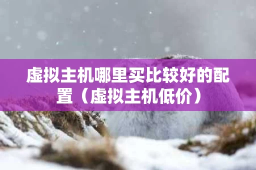 虚拟主机哪里买比较好的配置（虚拟主机低价）
