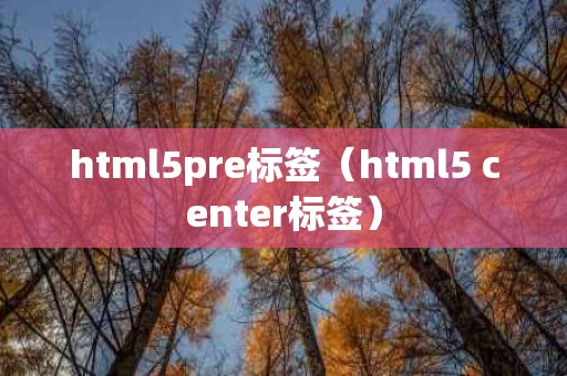 html5pre标签（html5 center标签）