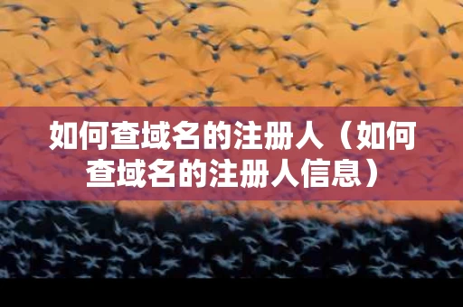 如何查域名的注册人（如何查域名的注册人信息）