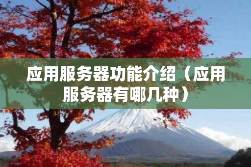应用服务器功能介绍（应用服务器有哪几种）