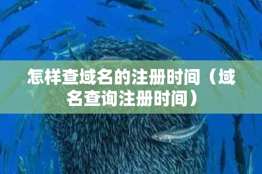 怎样查域名的注册时间（域名查询注册时间）
