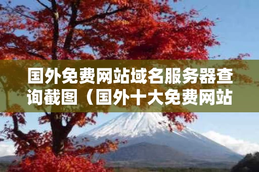 国外免费网站域名服务器查询截图（国外十大免费网站服务器）