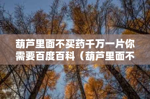 葫芦里面不买药千万一片你需要百度百科（葫芦里面不藏药千万影片）