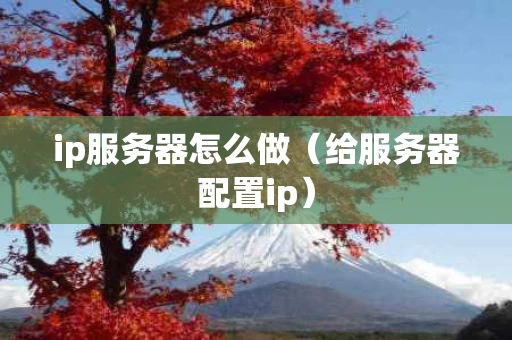 ip服务器怎么做（给服务器配置ip）