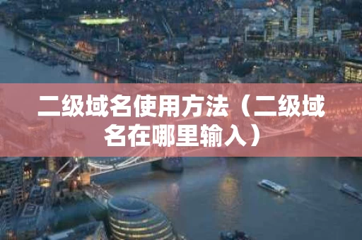 二级域名使用方法（二级域名在哪里输入）