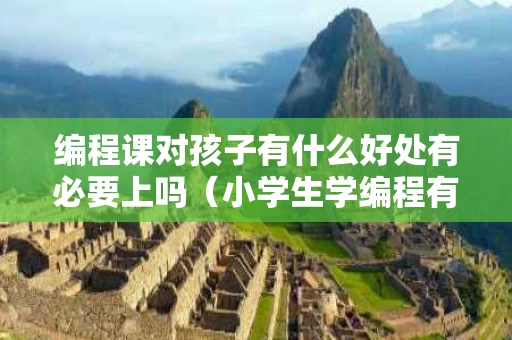 编程课对孩子有什么好处有必要上吗（小学生学编程有什么好处和坏处）