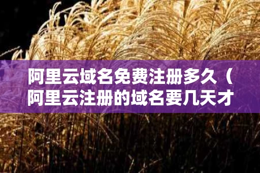 阿里云域名免费注册多久（阿里云注册的域名要几天才能卖）