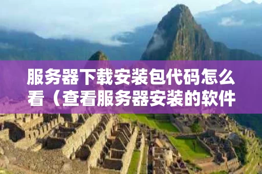 服务器下载安装包代码怎么看（查看服务器安装的软件）
