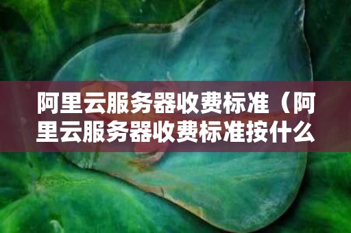 阿里云服务器收费标准（阿里云服务器收费标准按什么）