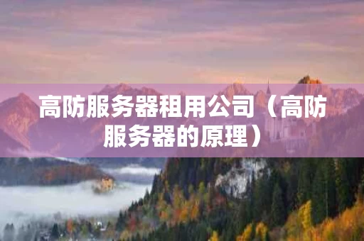 高防服务器租用公司（高防服务器的原理）