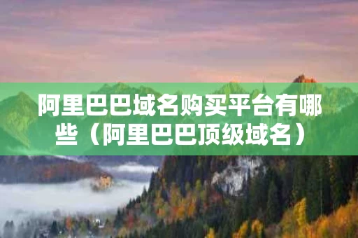 阿里巴巴域名购买平台有哪些（阿里巴巴顶级域名）