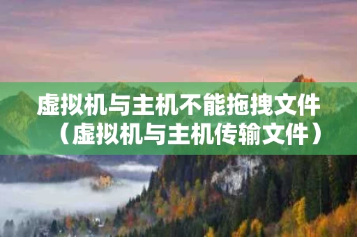 虚拟机与主机不能拖拽文件（虚拟机与主机传输文件）