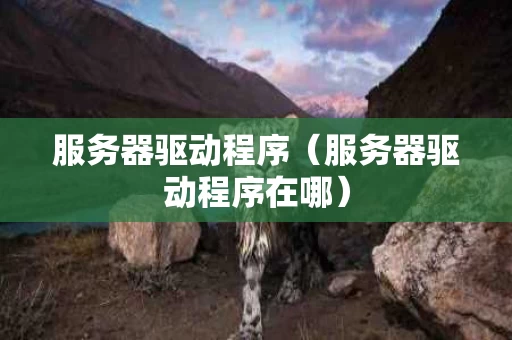 服务器驱动程序（服务器驱动程序在哪）