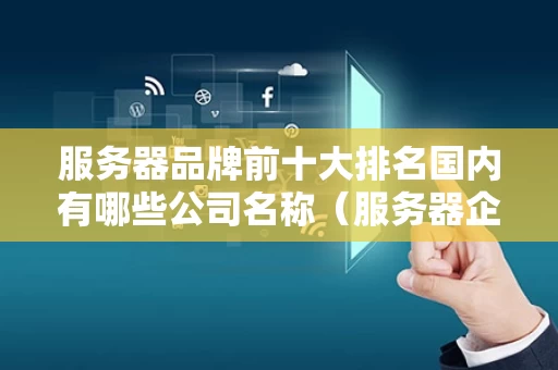 服务器品牌前十大排名国内有哪些公司名称（服务器企业十大品牌）