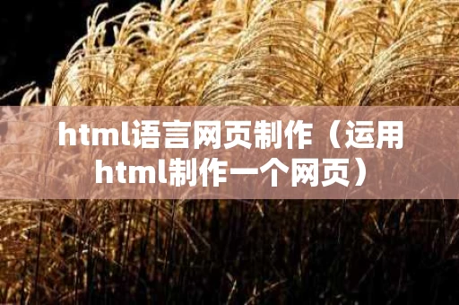 html语言网页制作（运用html制作一个网页）
