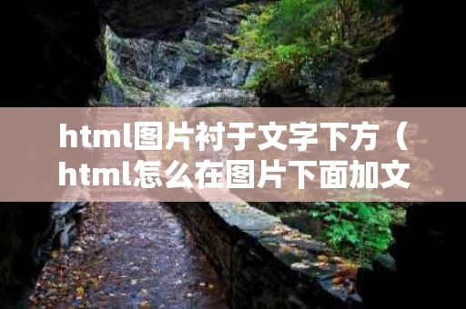 html图片衬于文字下方（html怎么在图片下面加文字说明）