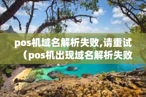 pos机域名解析失败,请重试（pos机出现域名解析失败）