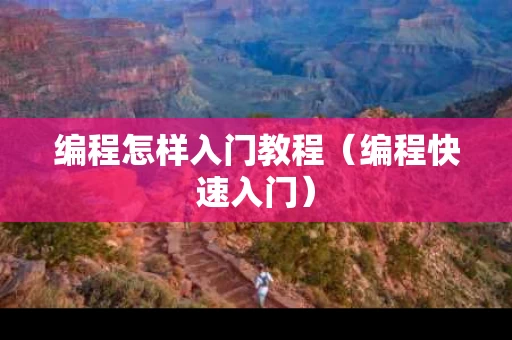 编程怎样入门教程（编程快速入门）