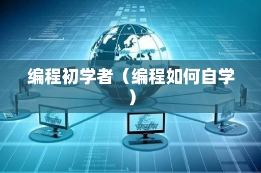 编程初学者（编程如何自学）