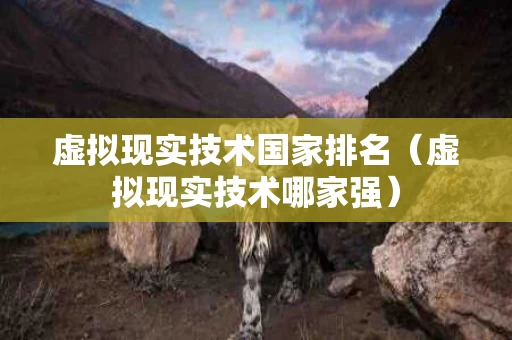 虚拟现实技术国家排名（虚拟现实技术哪家强）