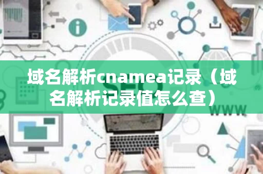 域名解析cnamea记录（域名解析记录值怎么查）