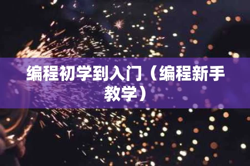 编程初学到入门（编程新手教学）
