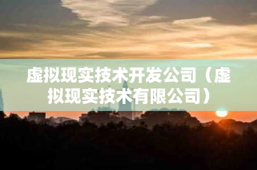虚拟现实技术开发公司（虚拟现实技术有限公司）