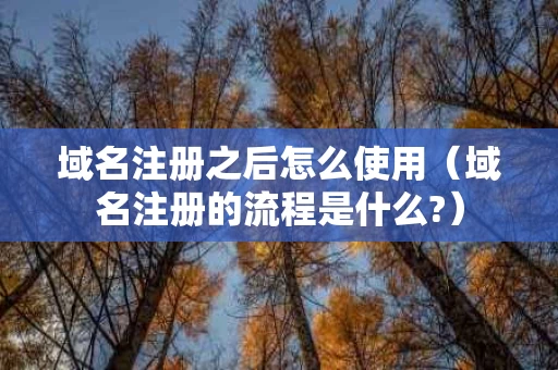 域名注册之后怎么使用（域名注册的流程是什么?）