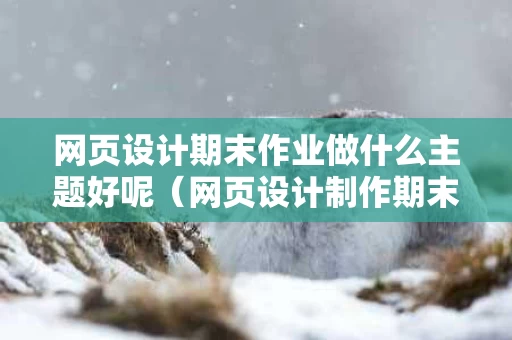 网页设计期末作业做什么主题好呢（网页设计制作期末考试试题）