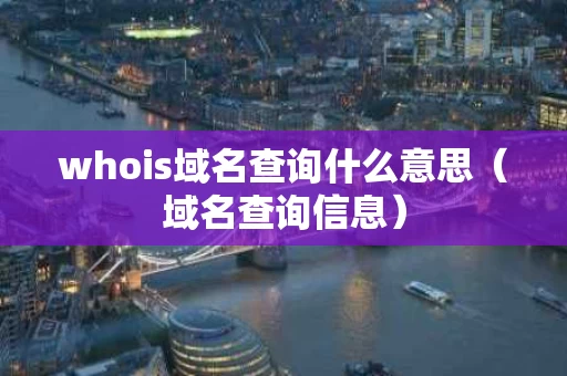 whois域名查询什么意思（域名查询信息）
