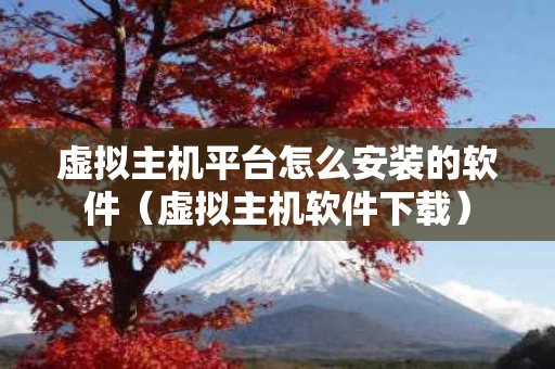 虚拟主机平台怎么安装的软件（虚拟主机软件下载）