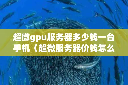 超微gpu服务器多少钱一台手机（超微服务器价钱怎么样）