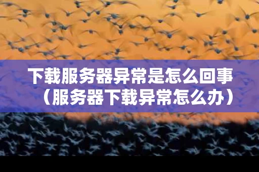 下载服务器异常是怎么回事（服务器下载异常怎么办）