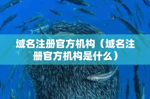 域名注册官方机构（域名注册官方机构是什么）
