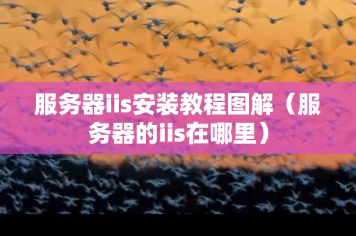 服务器iis安装教程图解（服务器的iis在哪里）