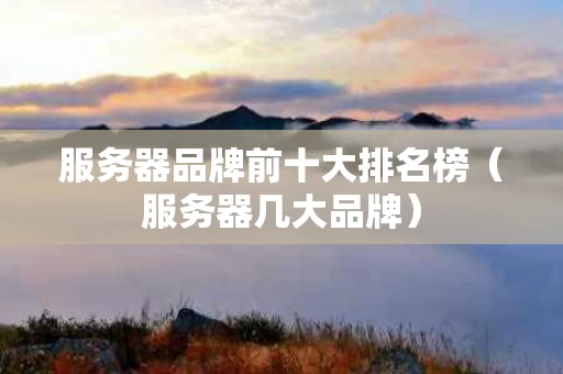 服务器品牌前十大排名榜（服务器几大品牌）