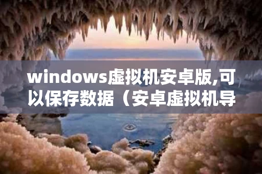 windows虚拟机安卓版,可以保存数据（安卓虚拟机导入的文件在哪里）